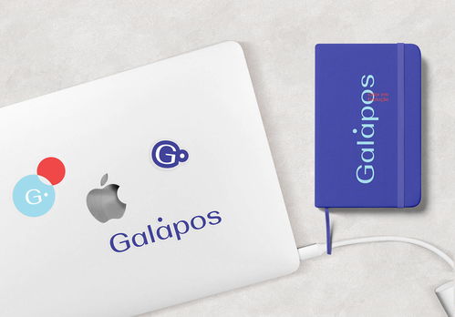 平面设计 Galapos 财务咨询公司品牌形象设计